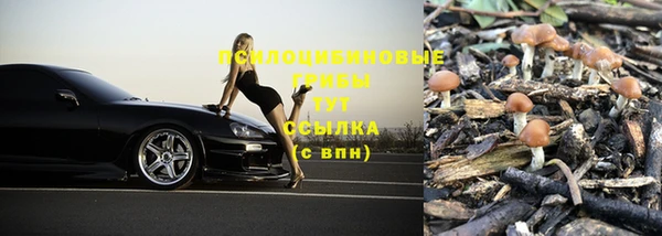 бутират Гусиноозёрск