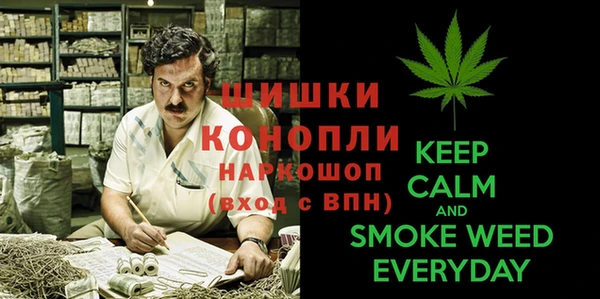 ALPHA PVP Гусев