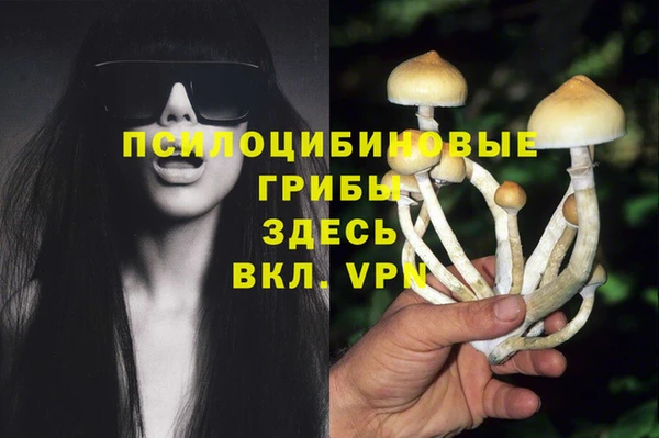 бутират Гусиноозёрск
