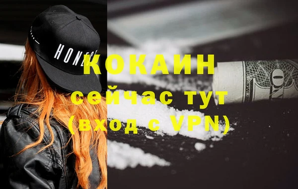ALPHA PVP Гусев