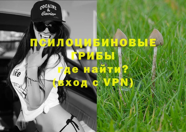 MDMA Горнозаводск