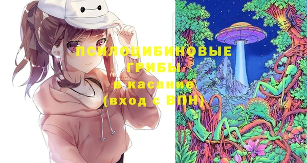 марки lsd Гусь-Хрустальный