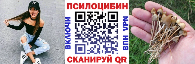 Псилоцибиновые грибы мухоморы  Купить  Буй 